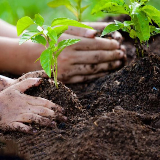 gallery img