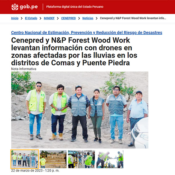 Fases de Trabajo